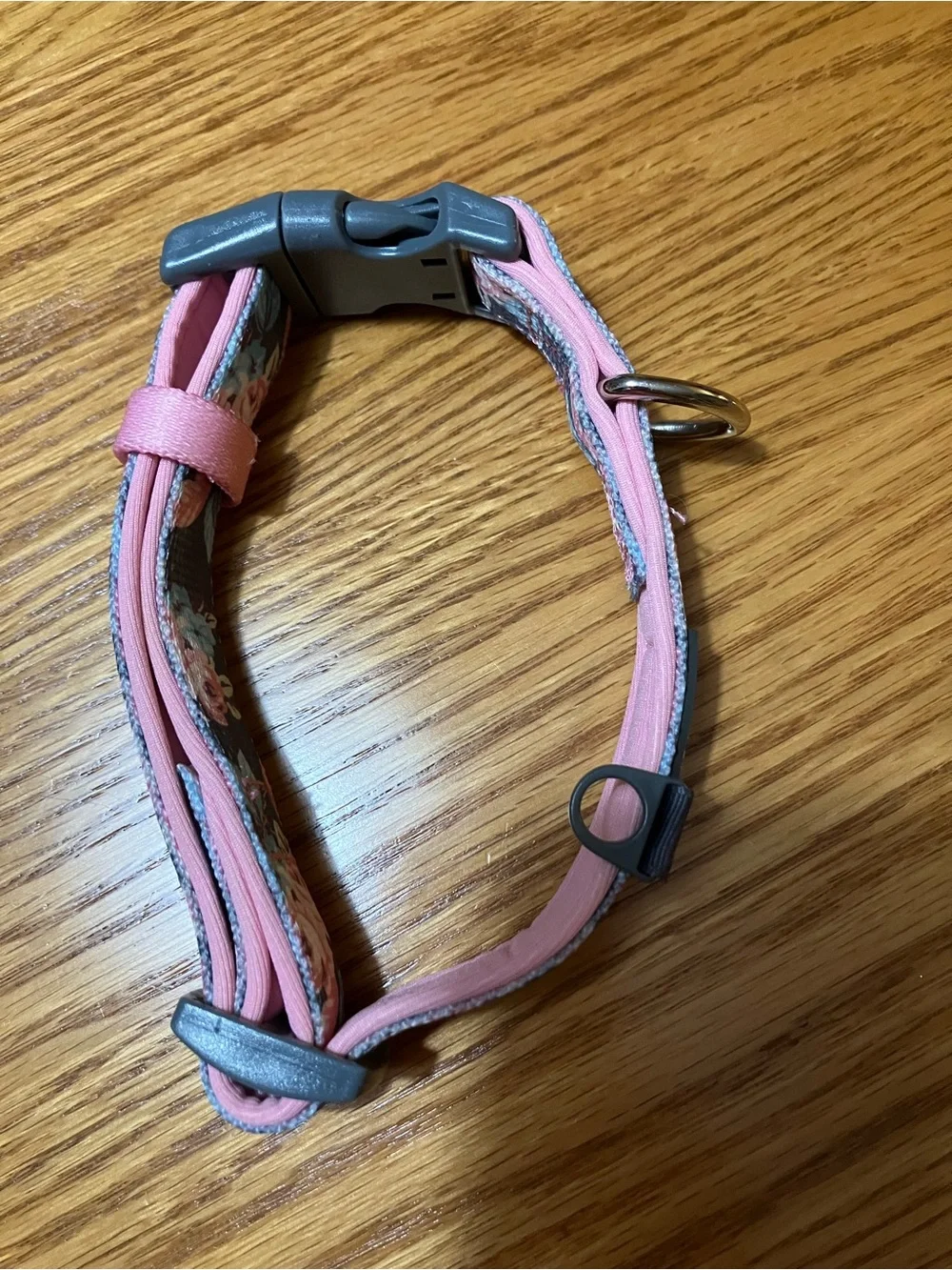 Pet Dog Collar with Matching Leash Blueberry